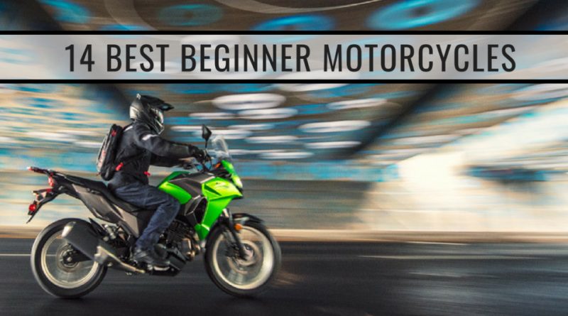 14 Best Beginner Motorcycles - Motorcycle World